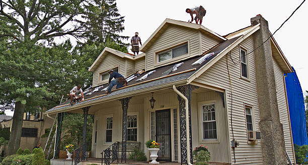 Best Metal Roofing Contractor  in Boulder, CO